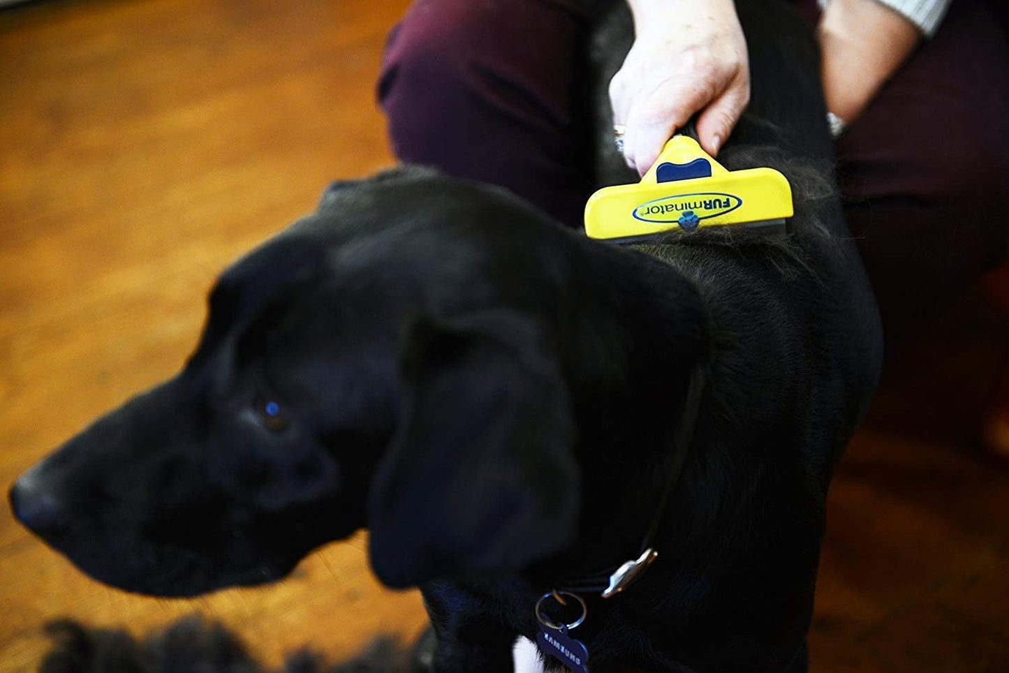 FURminator Short Hair Deshedding Tool for Large Dogs