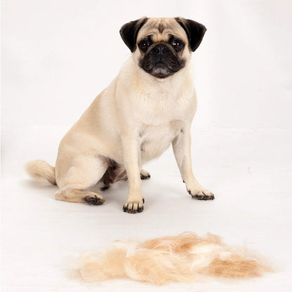 FURminator Short Hair Deshedding Tool for Large Dogs